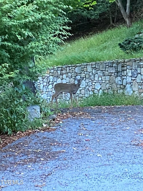 Photo #82: 107 Deer Run Drive