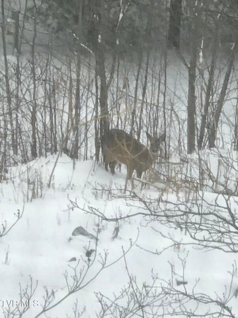 Photo #83: 107 Deer Run Drive