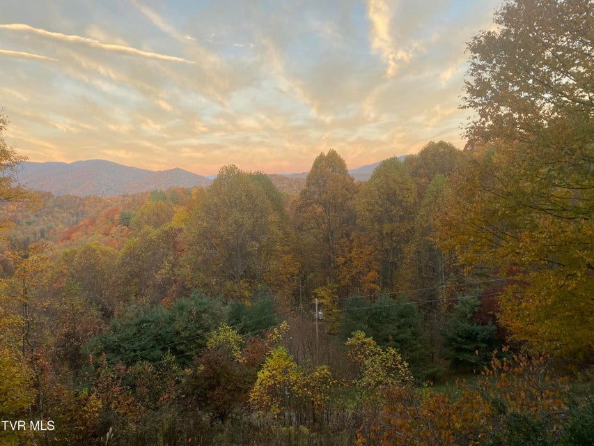 Photo #74: 107 Deer Run Drive