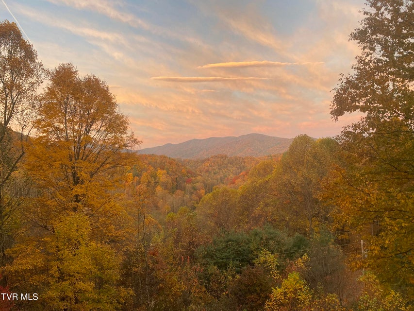 Photo #75: 107 Deer Run Drive