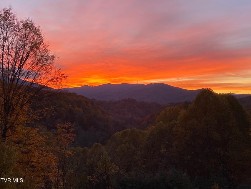 Photo #76: 107 Deer Run Drive