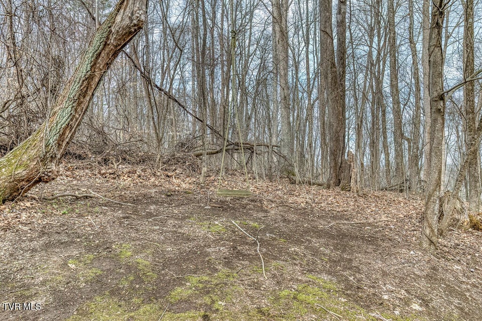 Photo #60: 2201 Nantucket Road