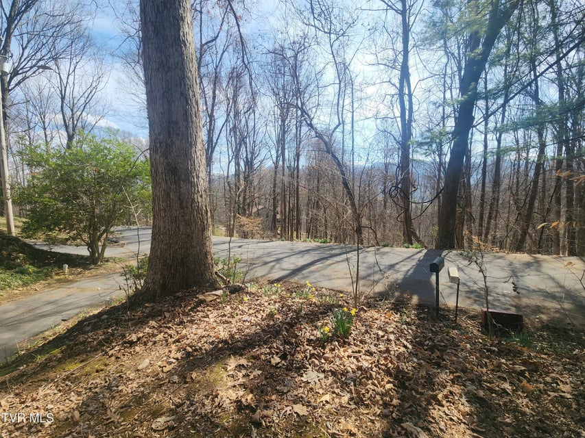 Photo #4: 2201 Nantucket Road