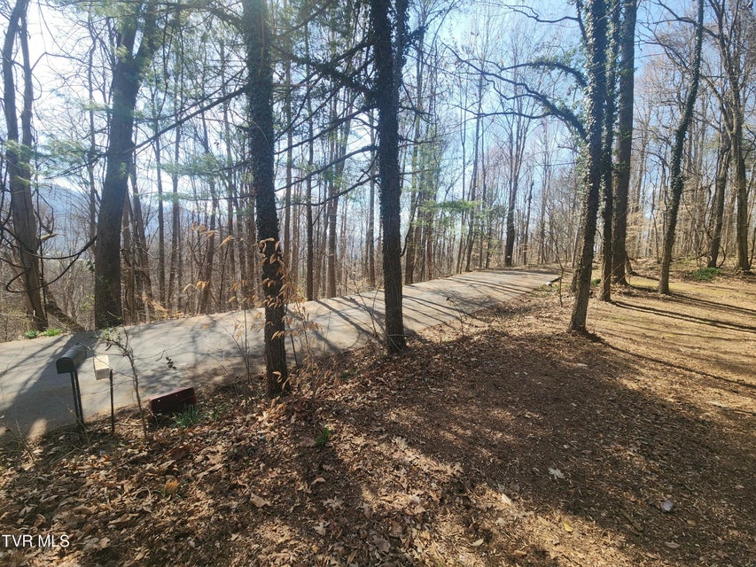 Photo #6: 2201 Nantucket Road