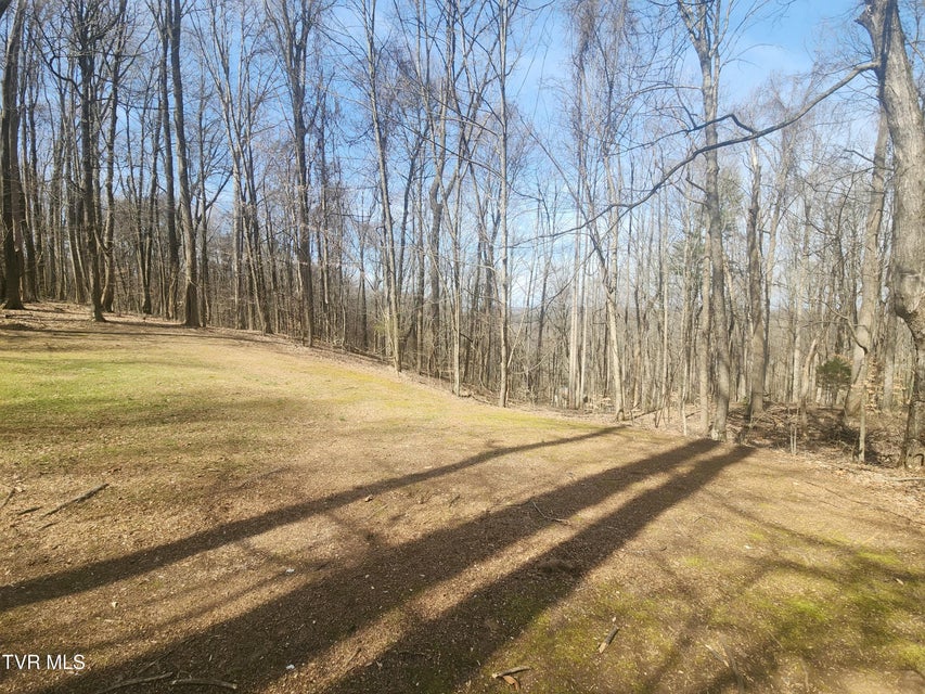 Photo #49: 2201 Nantucket Road