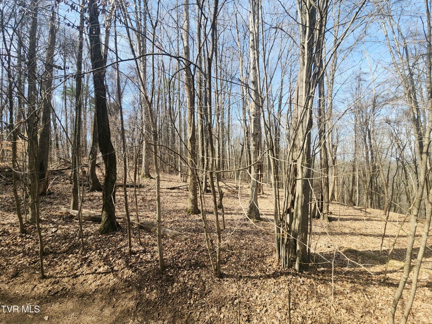 Photo #50: 2201 Nantucket Road