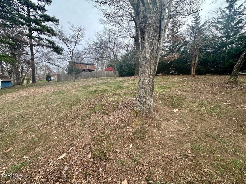 Photo #33: 118 Bright Ridge Court