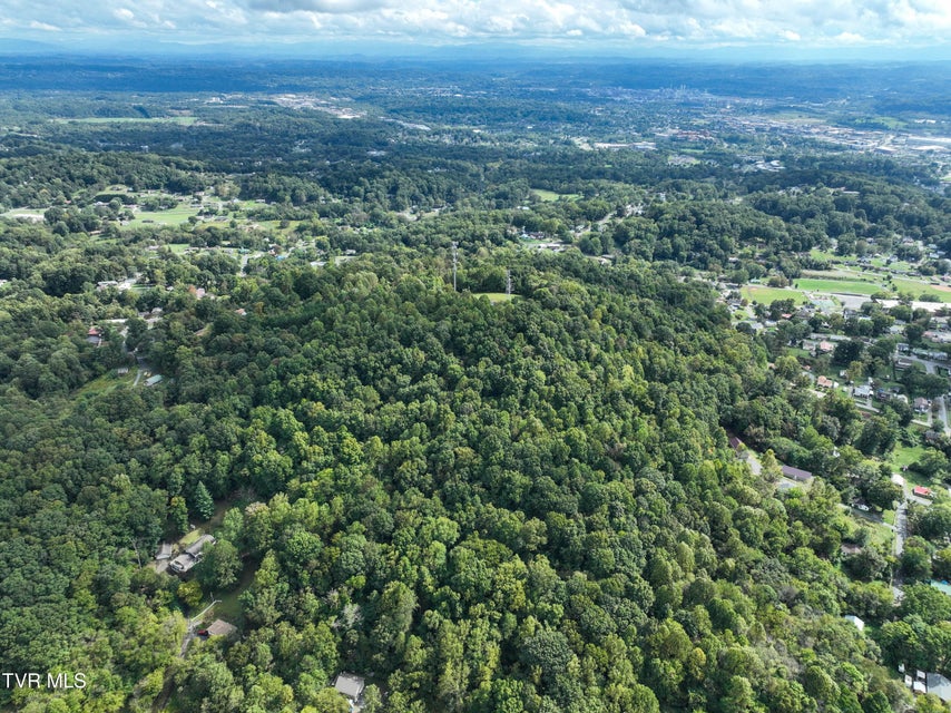 Photo #11: Tbd Mullins St Off 