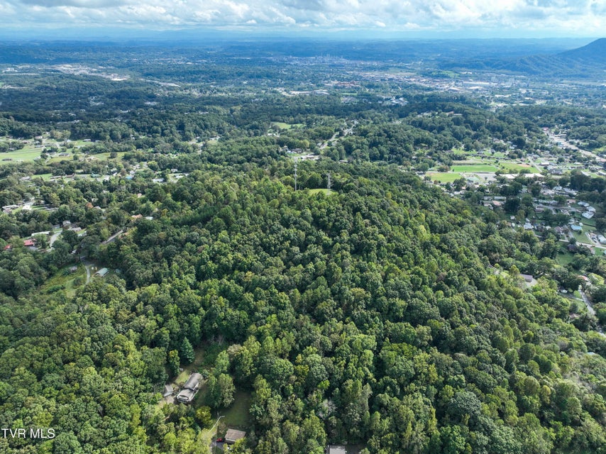 Photo #12: Tbd Mullins St Off 