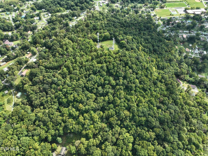 Photo #13: Tbd Mullins St Off 