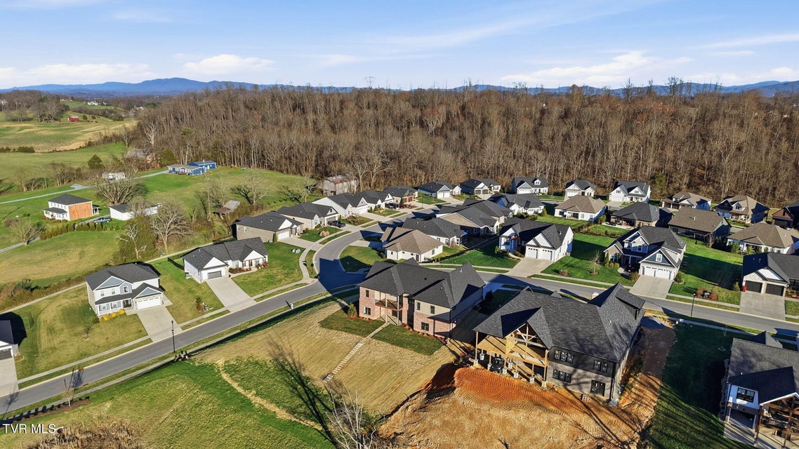 Photo #70: 1082 Brumit 