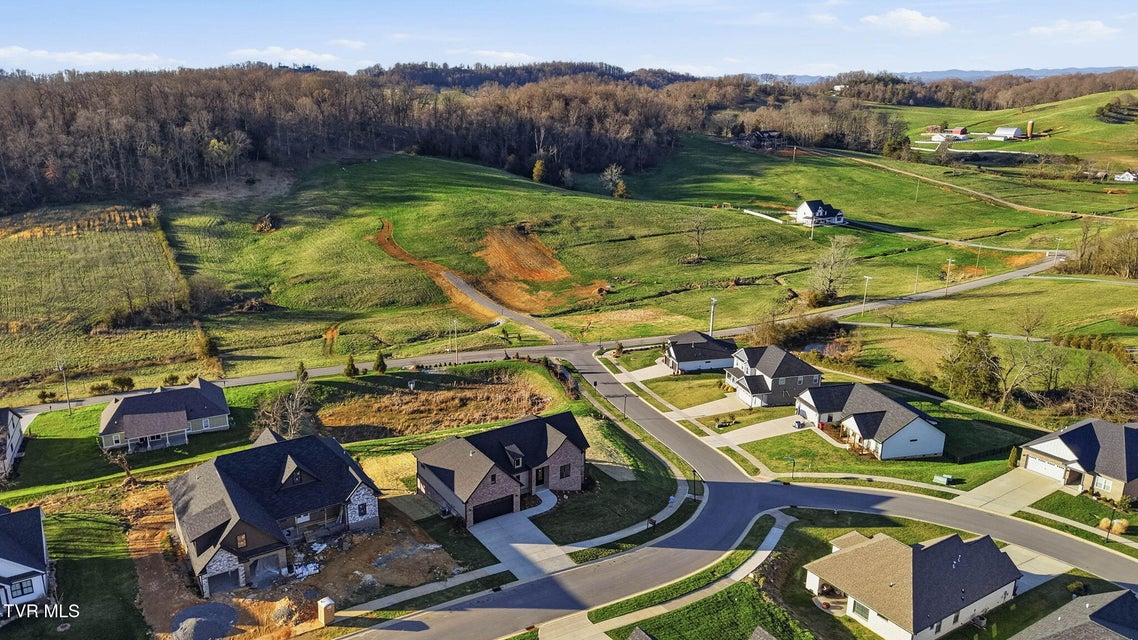 Photo #66: 1082 Brumit 