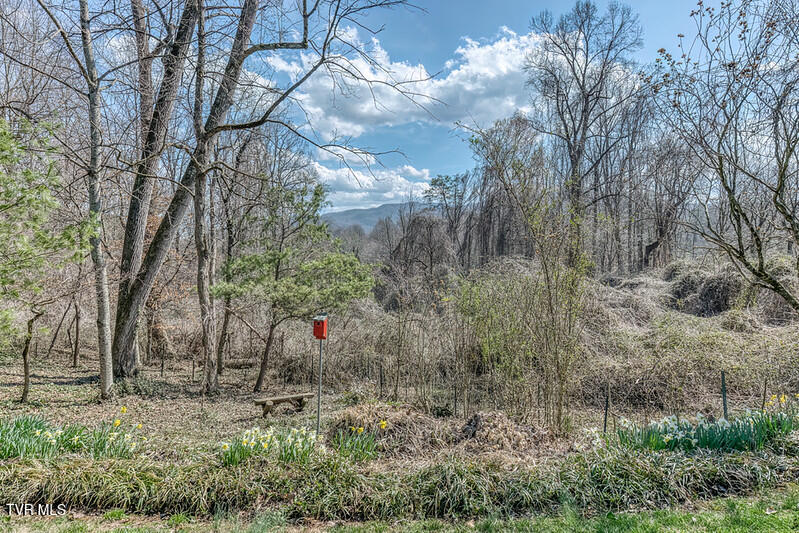 Photo #61: 8 University Place