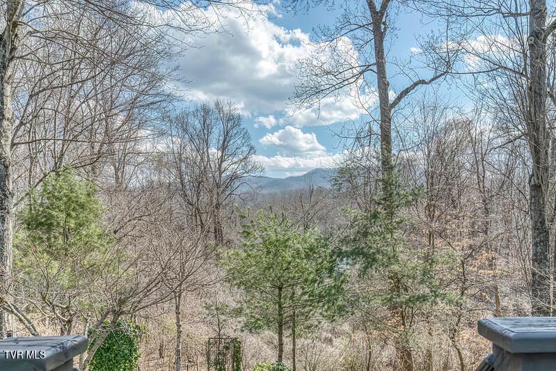 Photo #54: 8 University Place