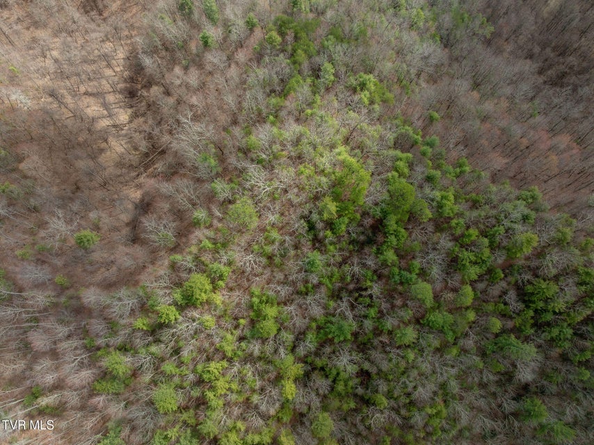 Photo #8: Lot 3 Ray Kegley Road