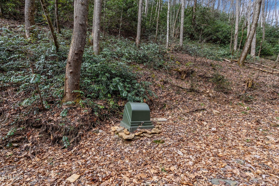 Photo #11: Lot 3 Ray Kegley Road