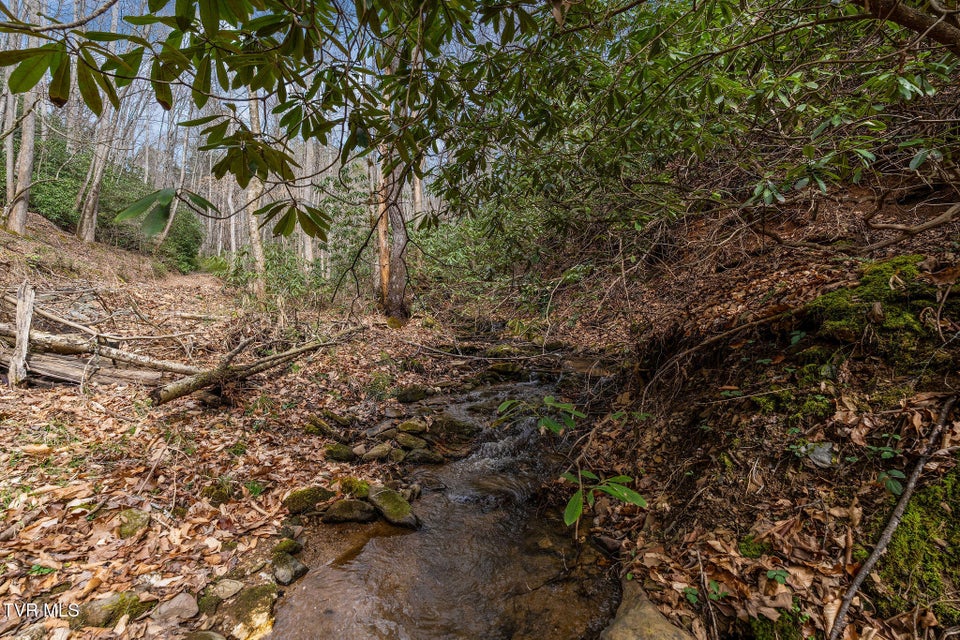 Photo #12: Lot 3 Ray Kegley Road