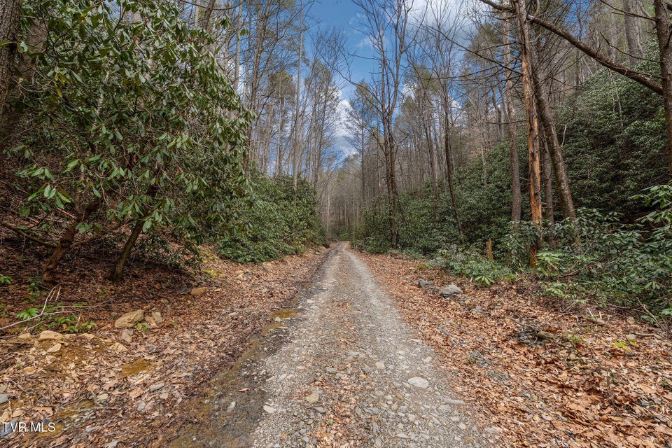 Photo #13: Lot 3 Ray Kegley Road