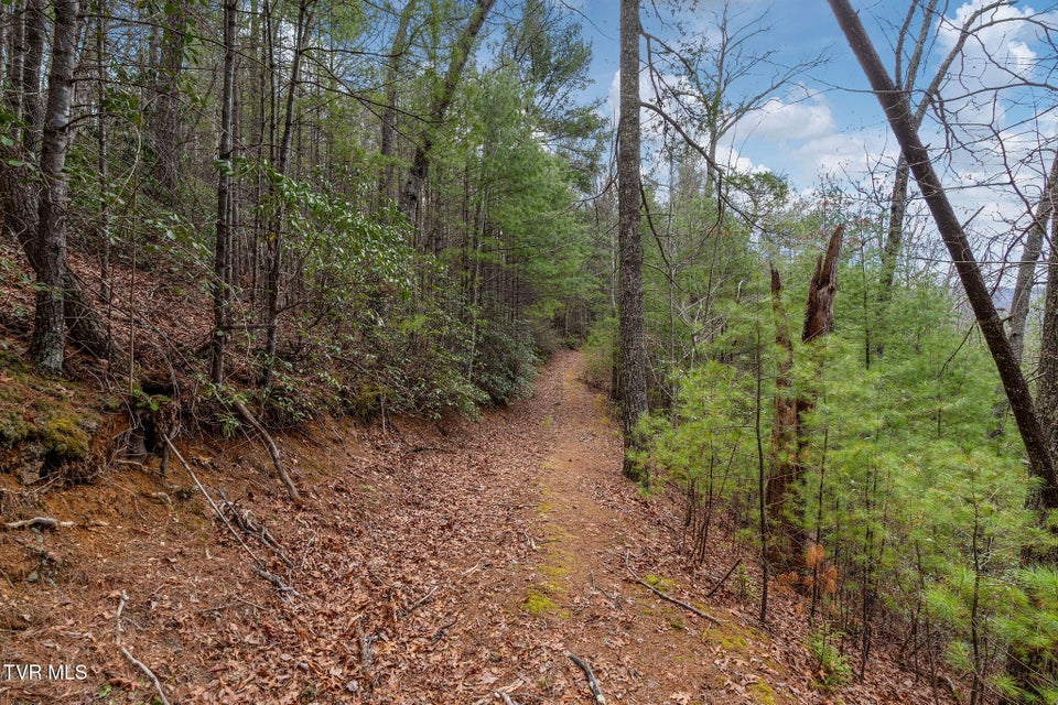 Photo #15: Lot 3 Ray Kegley Road