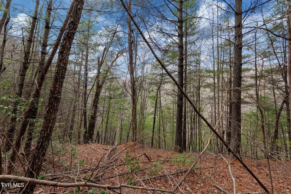 Photo #17: Lot 3 Ray Kegley Road