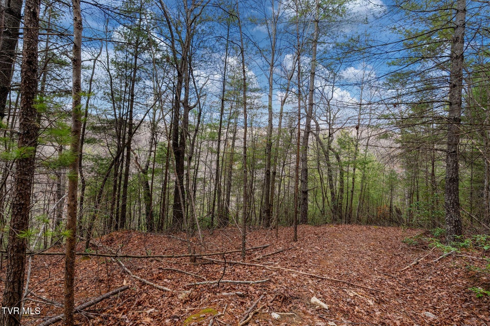 Photo #18: Lot 3 Ray Kegley Road