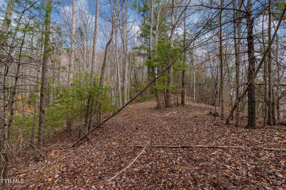 Photo #20: Lot 3 Ray Kegley Road