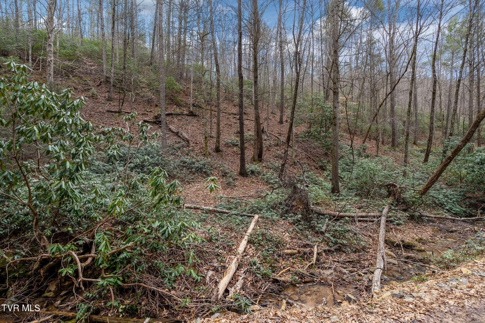 Photo #21: Lot 3 Ray Kegley Road