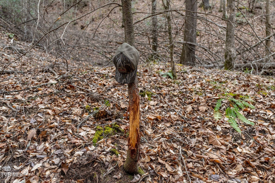 Photo #22: Lot 3 Ray Kegley Road