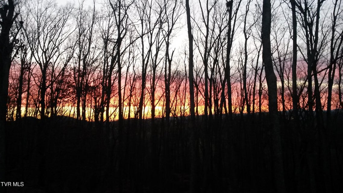 Photo #78: 1148 Cliffview Circle