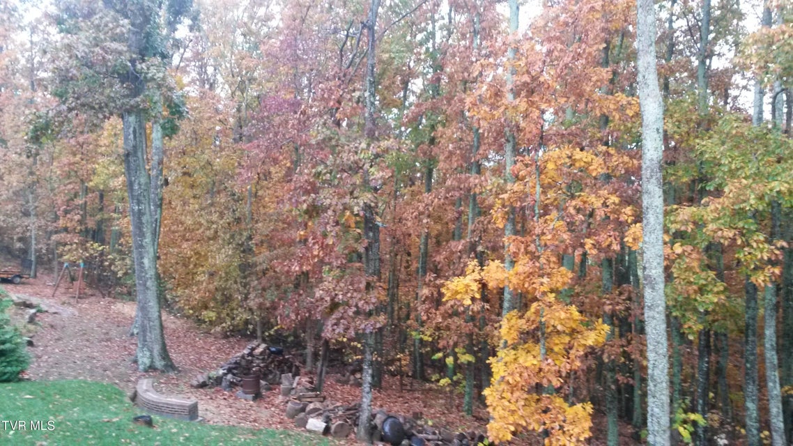 Photo #80: 1148 Cliffview Circle