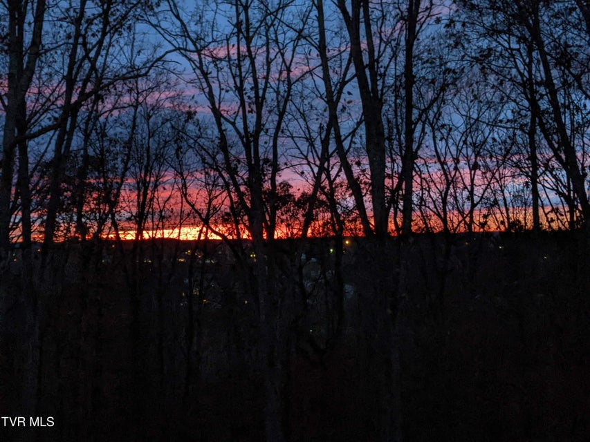 Photo #82: 1148 Cliffview Circle