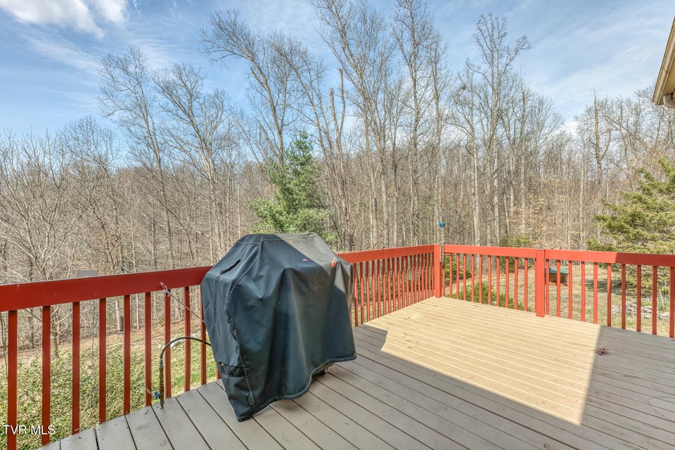 Photo #42: 107 Asher Court