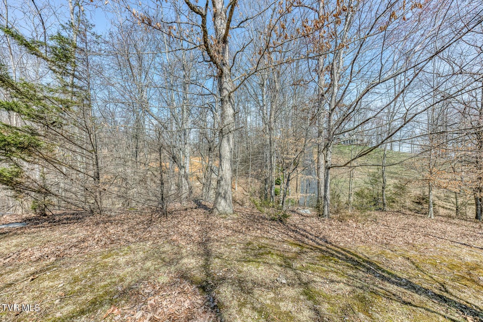 Photo #52: 107 Asher Court