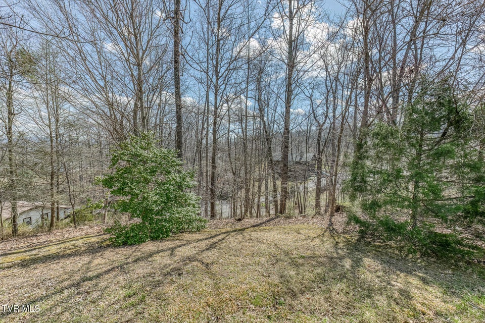 Photo #70: 107 Asher Court