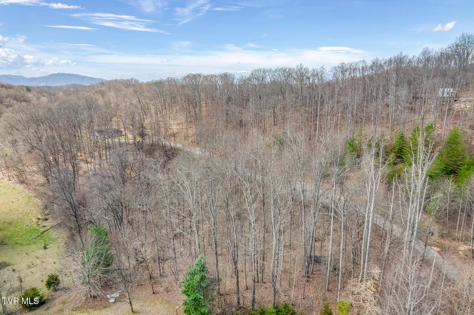 Photo #78: 107 Asher Court