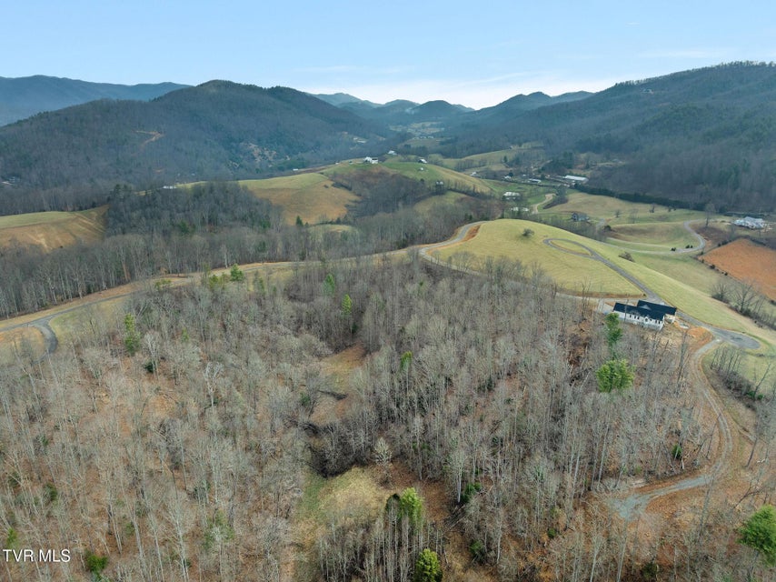 Photo #14: 000 Mountain Laurel Lane Road