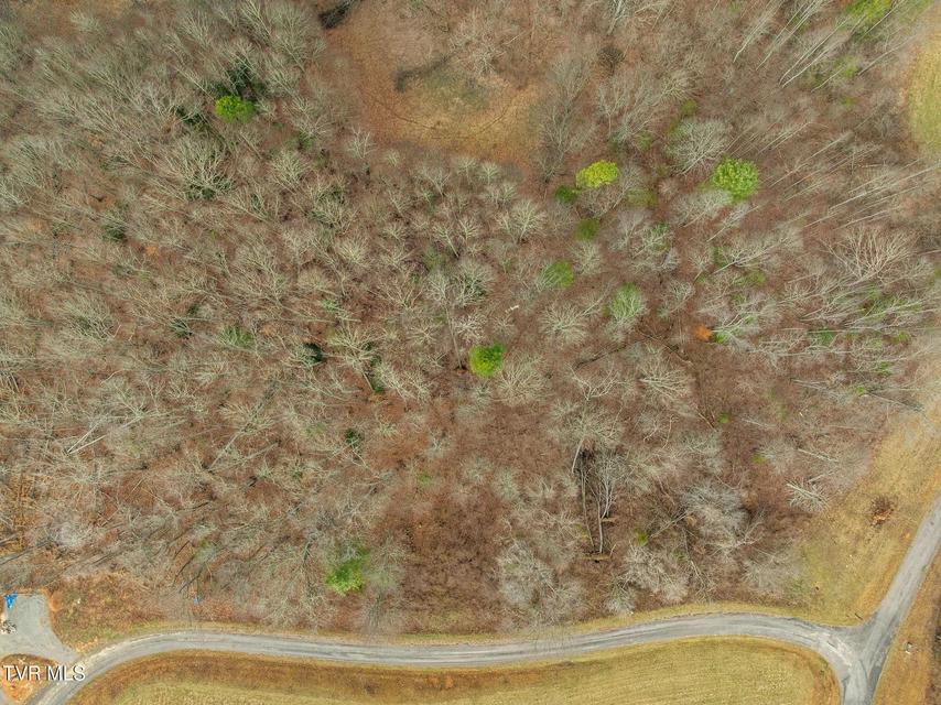 Photo #5: 000 Mountain Laurel Lane Road