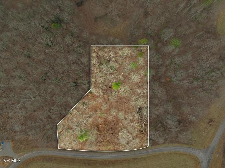 Photo #2: 000 Mountain Laurel Lane Road