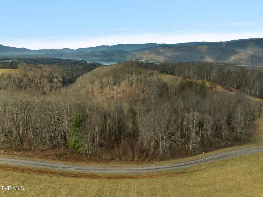 Photo #7: 000 Mountain Laurel Lane Road