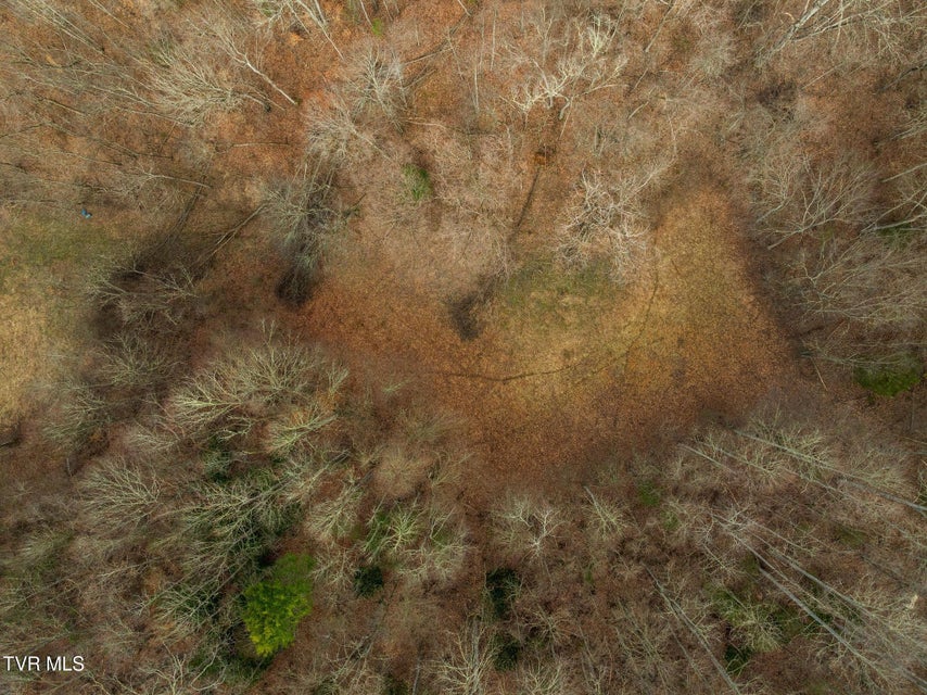 Photo #6: 000 Mountain Laurel Lane Road