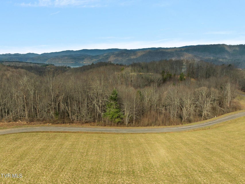 Photo #4: 000 Mountain Laurel Lane Road