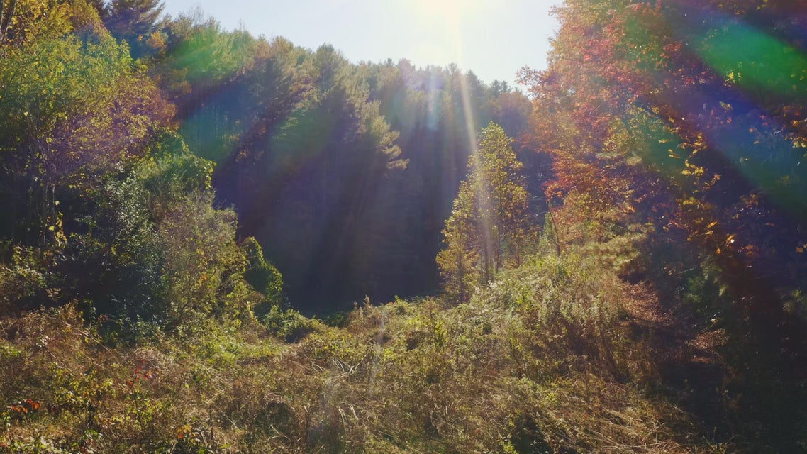 Photo #5: 410 Seay Hollow Road