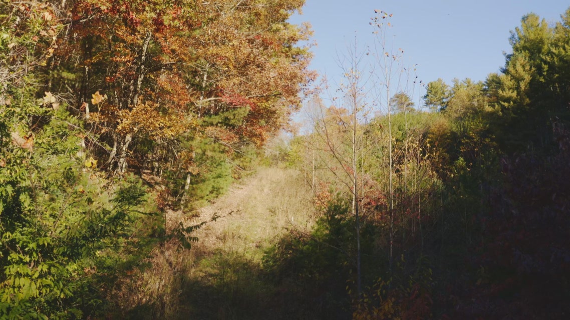 Photo #6: 410 Seay Hollow Road