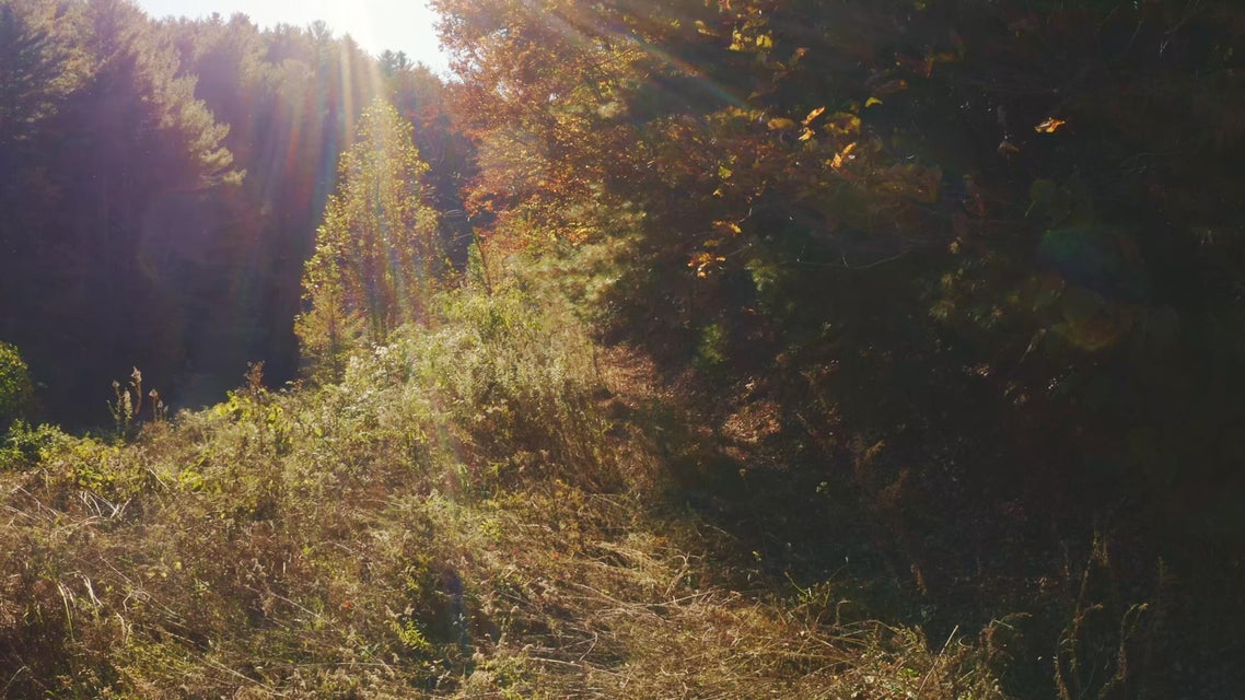 Photo #10: 410 Seay Hollow Road