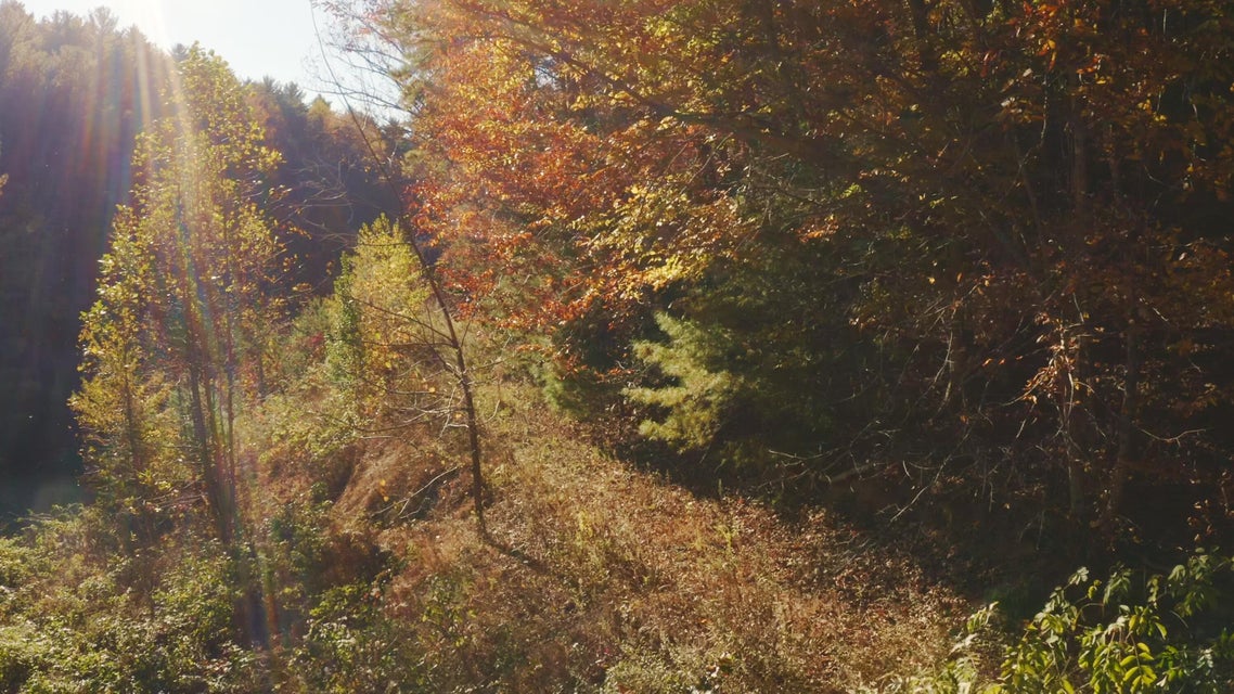 Photo #11: 410 Seay Hollow Road