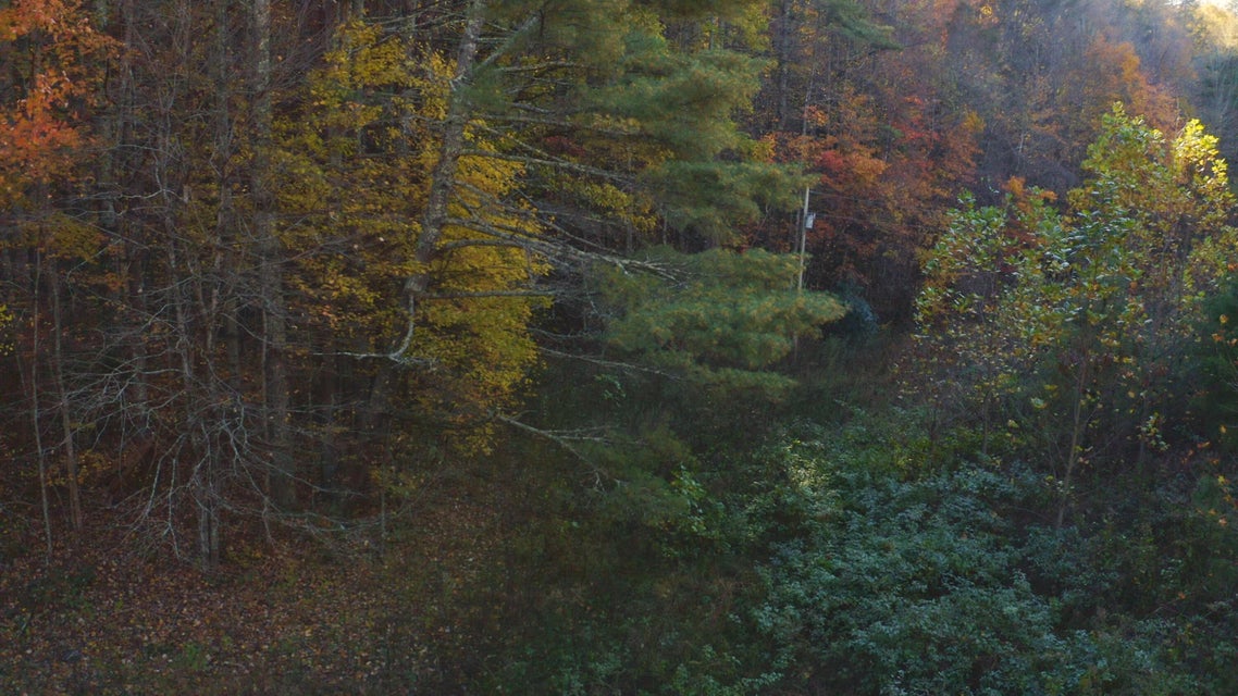 Photo #15: 410 Seay Hollow Road