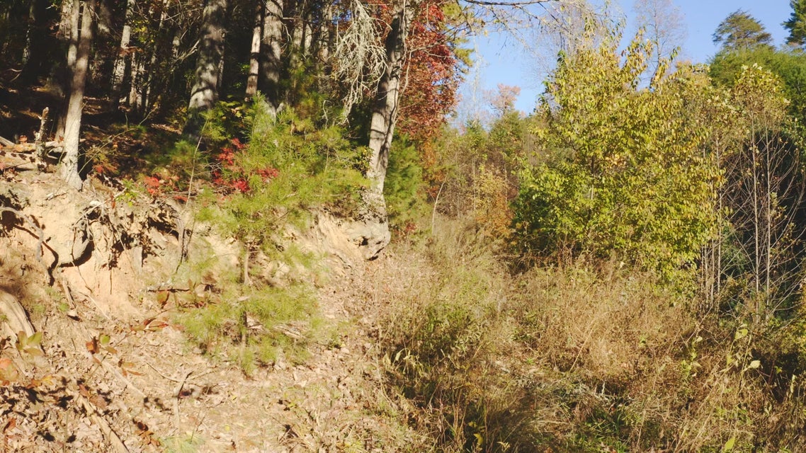 Photo #16: 410 Seay Hollow Road