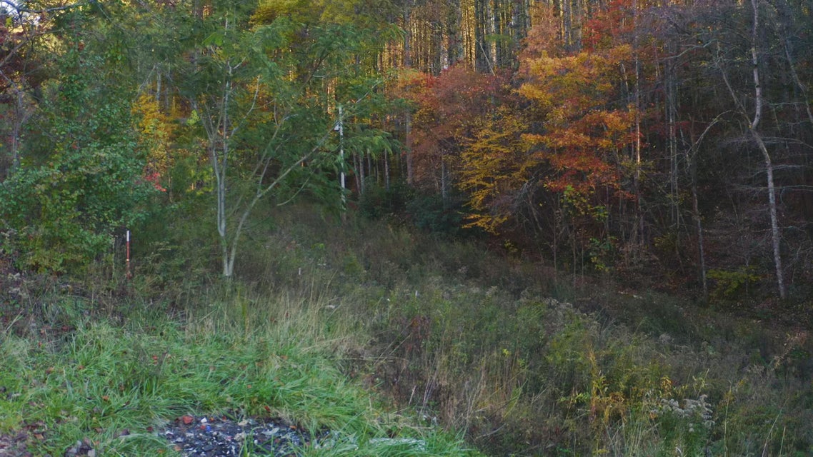 Photo #17: 410 Seay Hollow Road