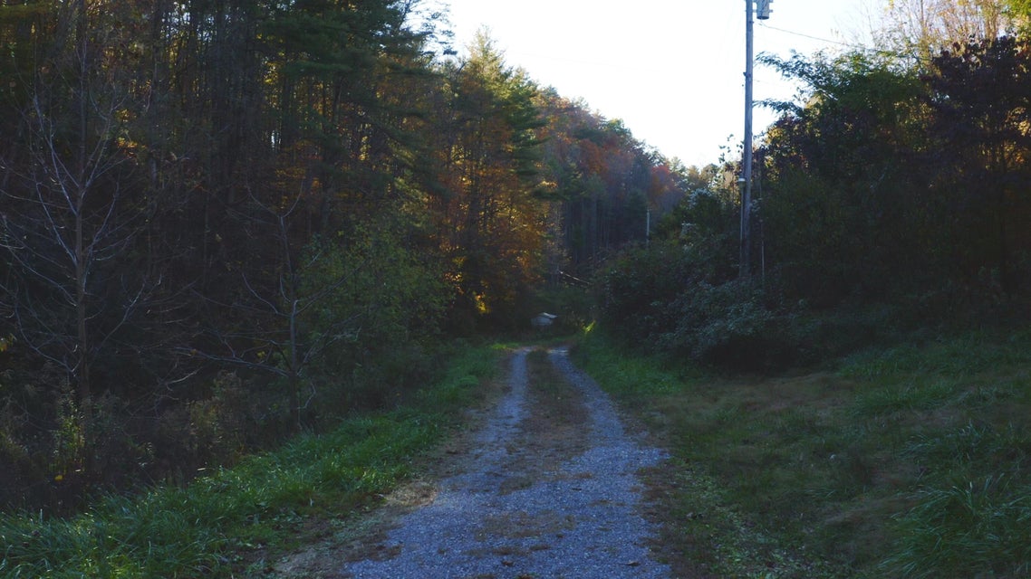 Photo #29: 410 Seay Hollow Road