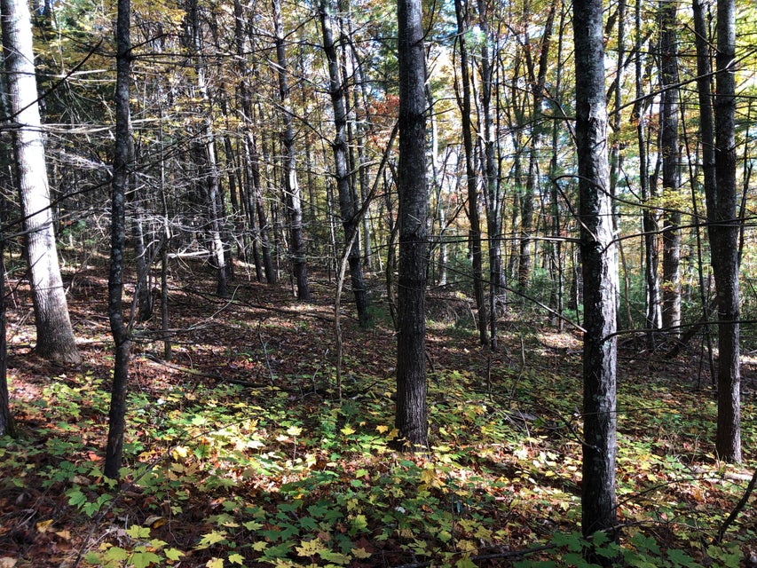 Photo #30: 410 Seay Hollow Road